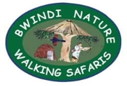 Bwindi-Nature.png