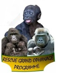 Rescue-Grand-Ophanage.png